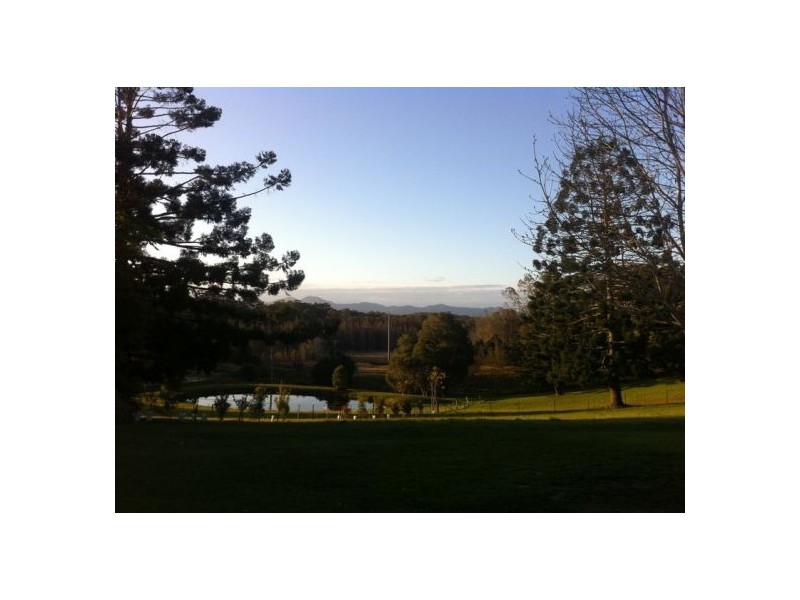 48 Short Cut Rd, Urunga NSW 2455