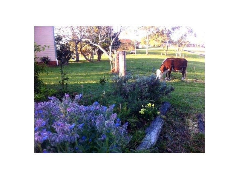 48 Short Cut Rd, Urunga NSW 2455