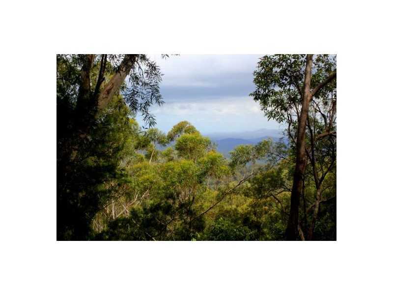 302 Kennaicle Creek Rd, Missabotti NSW 2449