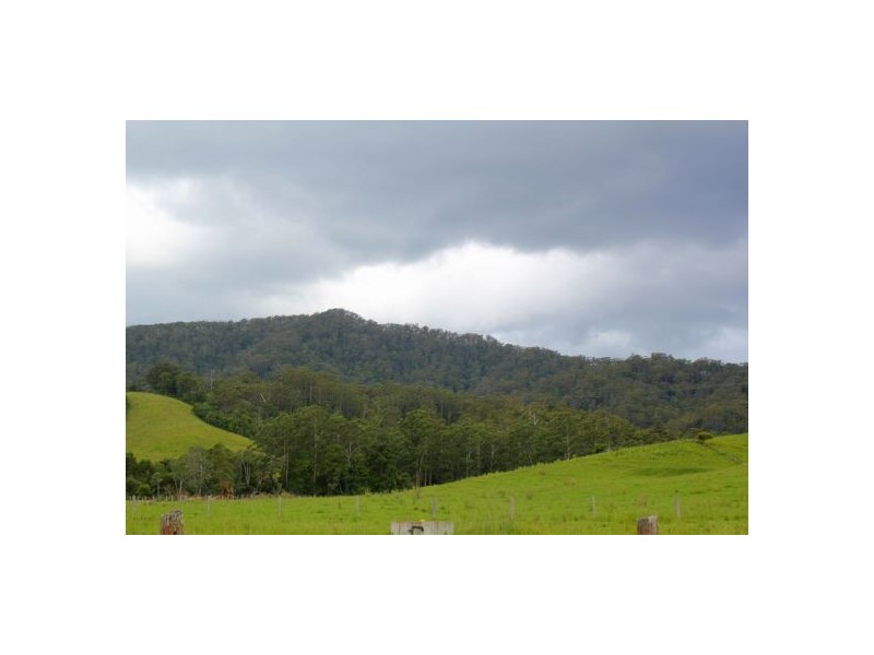 302 Kennaicle Creek Rd, Missabotti NSW 2449