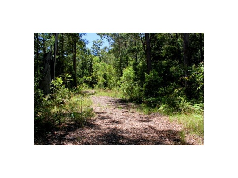 302 Kennaicle Creek Rd, Missabotti NSW 2449