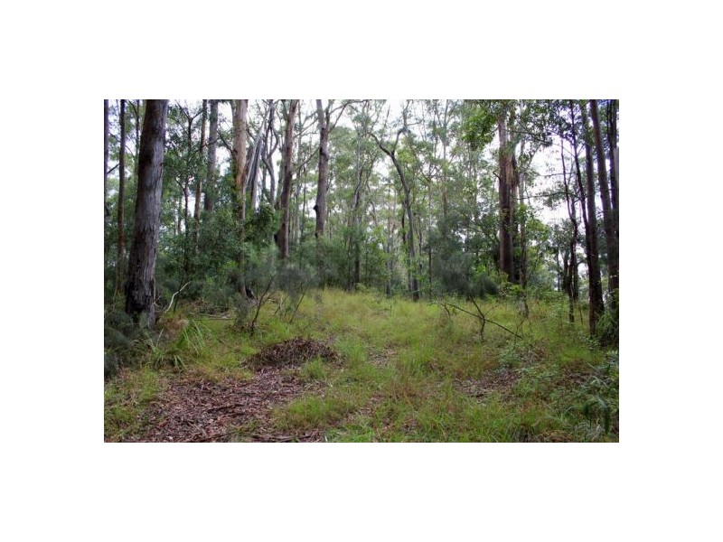 302 Kennaicle Creek Rd, Missabotti NSW 2449