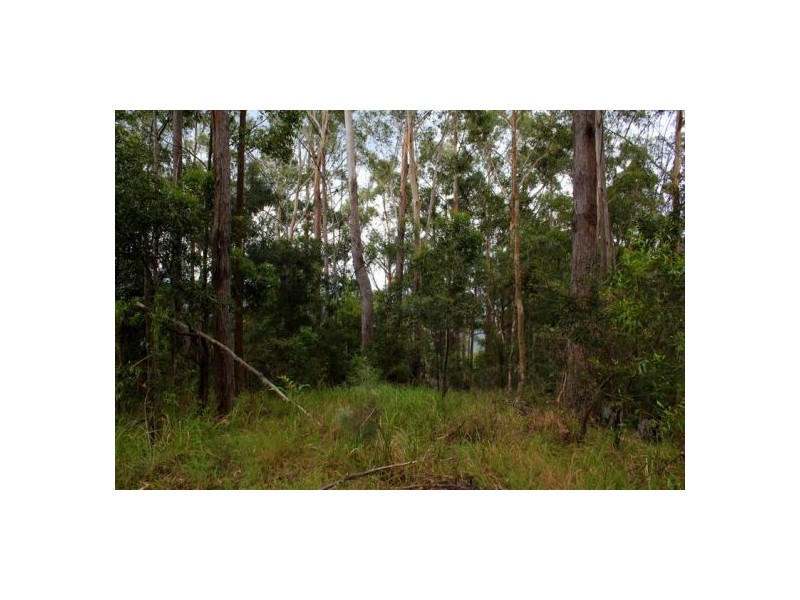 302 Kennaicle Creek Rd, Missabotti NSW 2449