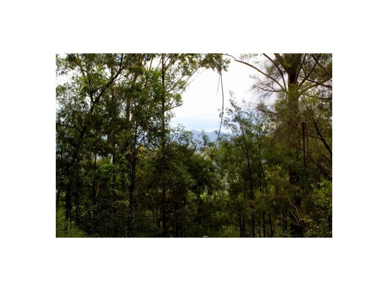 302 Kennaicle Creek Rd, Missabotti NSW 2449