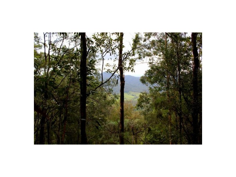 302 Kennaicle Creek Rd, Missabotti NSW 2449