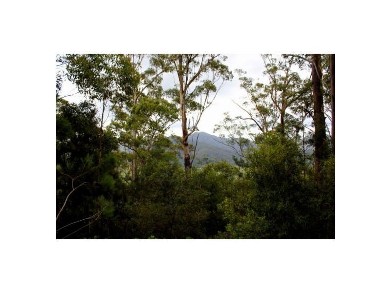 302 Kennaicle Creek Rd, Missabotti NSW 2449