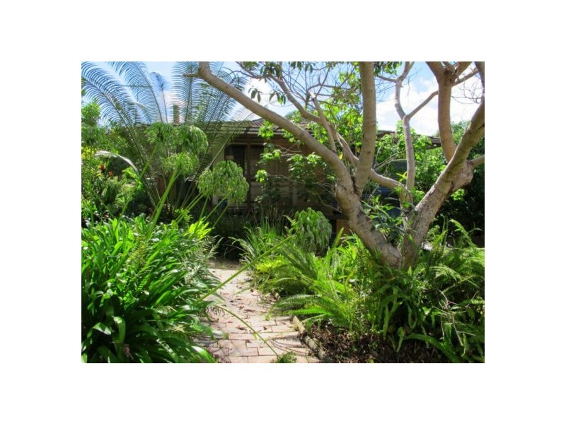 9 Casuarina Ave, Bellingen NSW 2454