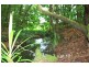 Lot 12 Sullivans Road, Valla NSW 2448