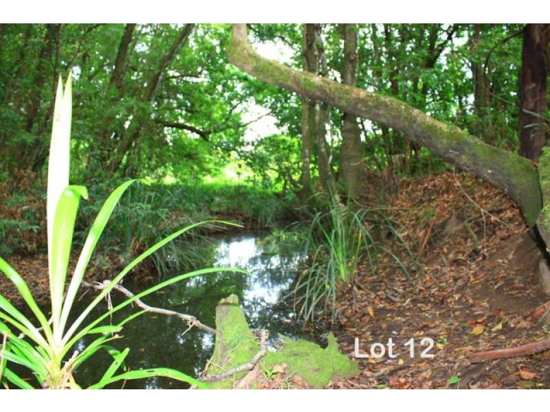 Lot 12 Sullivans Road, Valla NSW 2448