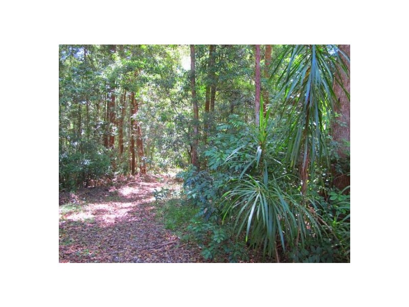 300 Roses Rd Gleniffer, Bellingen NSW 2454