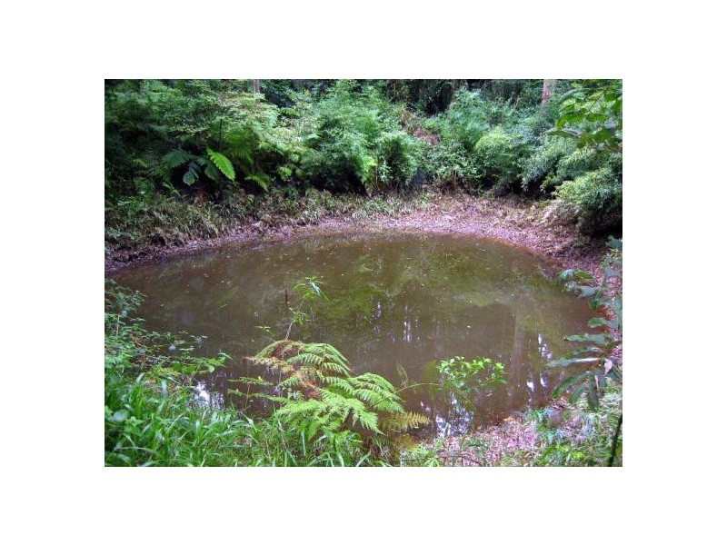 300 Roses Rd Gleniffer, Bellingen NSW 2454