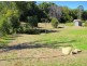 20 Red Cedar Place, Bellingen NSW 2454