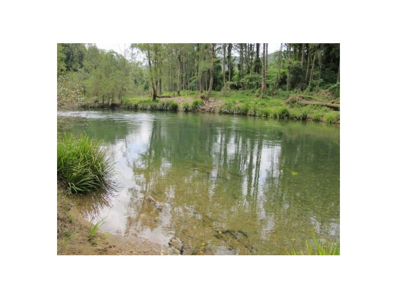 1211 Darkwood Road, Thora, Bellingen NSW 2454