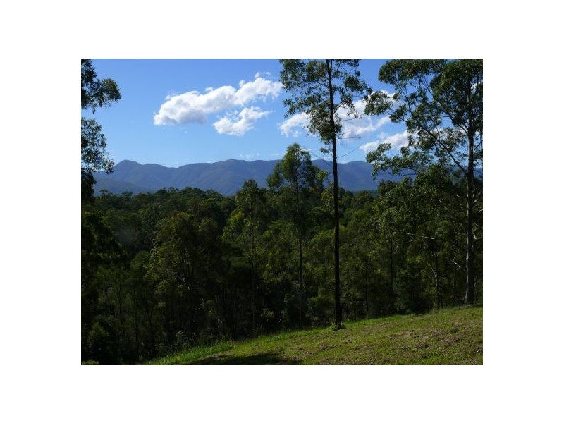 121 Scotchman Rd, Bellingen NSW 2454