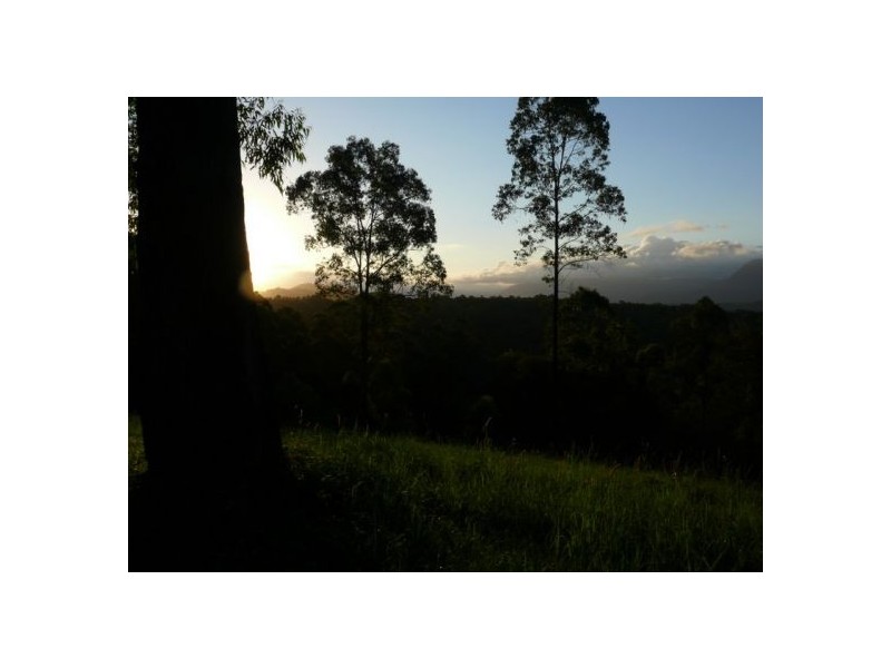 121 Scotchman Rd, Bellingen NSW 2454
