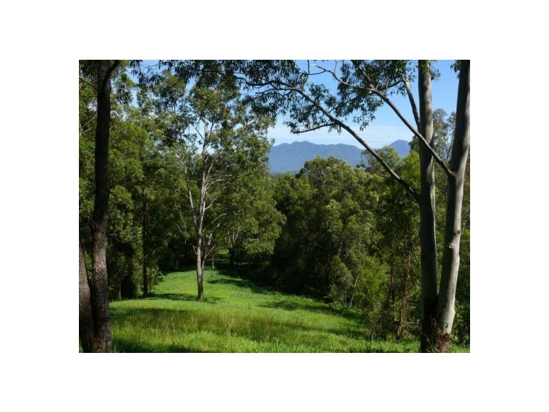 121 Scotchman Rd, Bellingen NSW 2454