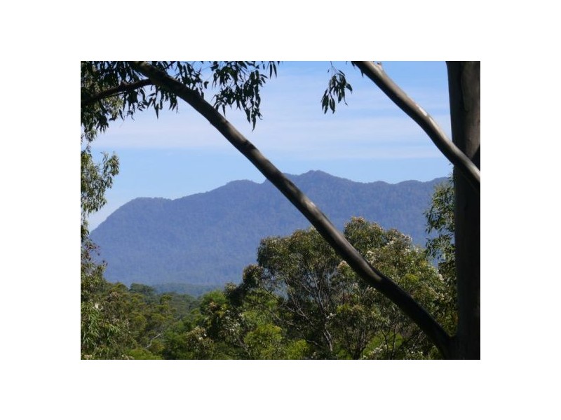 121 Scotchman Rd, Bellingen NSW 2454