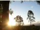 121 Scotchman Rd, Bellingen NSW 2454