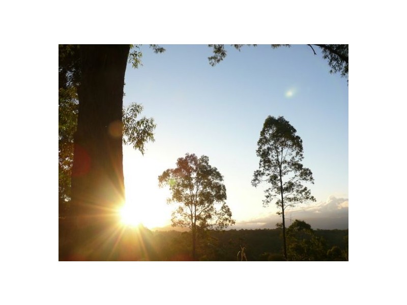 121 Scotchman Rd, Bellingen NSW 2454