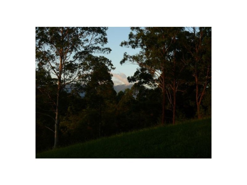 121 Scotchman Rd, Bellingen NSW 2454