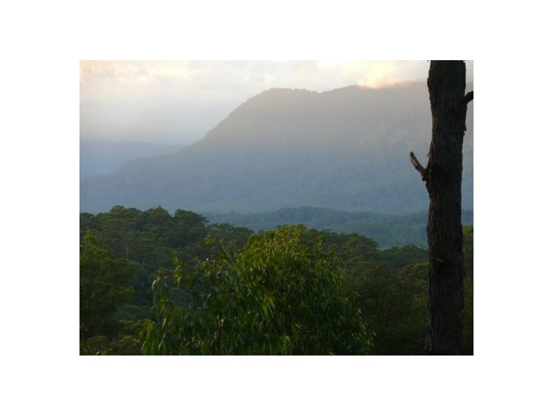 121 Scotchman Rd, Bellingen NSW 2454