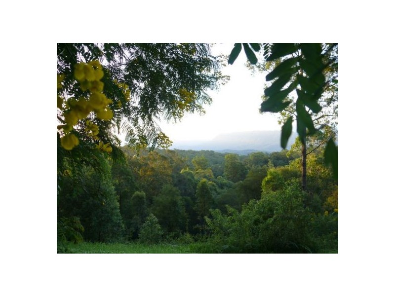 121 Scotchman Rd, Bellingen NSW 2454