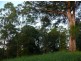 121 Scotchman Rd, Bellingen NSW 2454