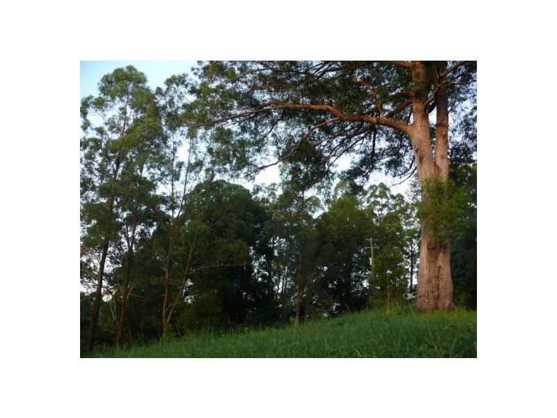 121 Scotchman Rd, Bellingen NSW 2454