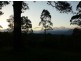 121 Scotchman Rd, Bellingen NSW 2454