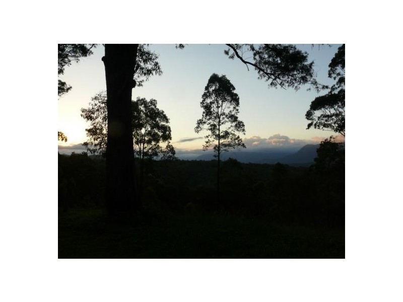 121 Scotchman Rd, Bellingen NSW 2454