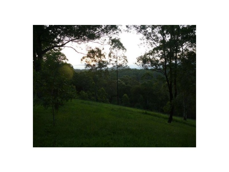 121 Scotchman Rd, Bellingen NSW 2454