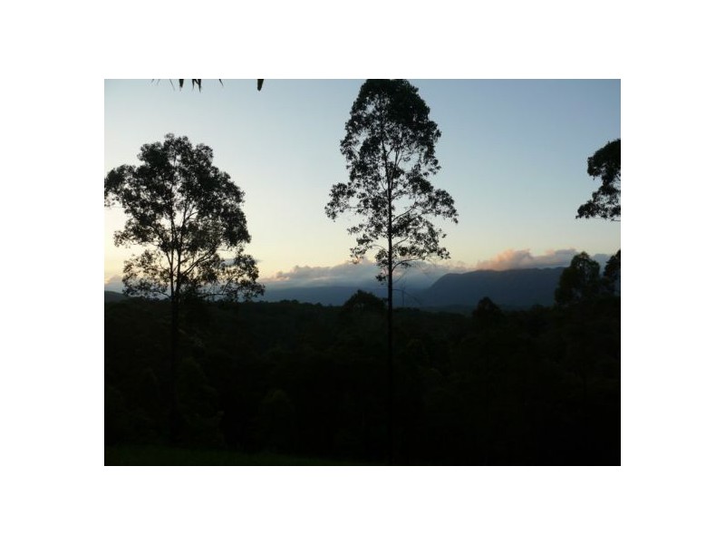 121 Scotchman Rd, Bellingen NSW 2454