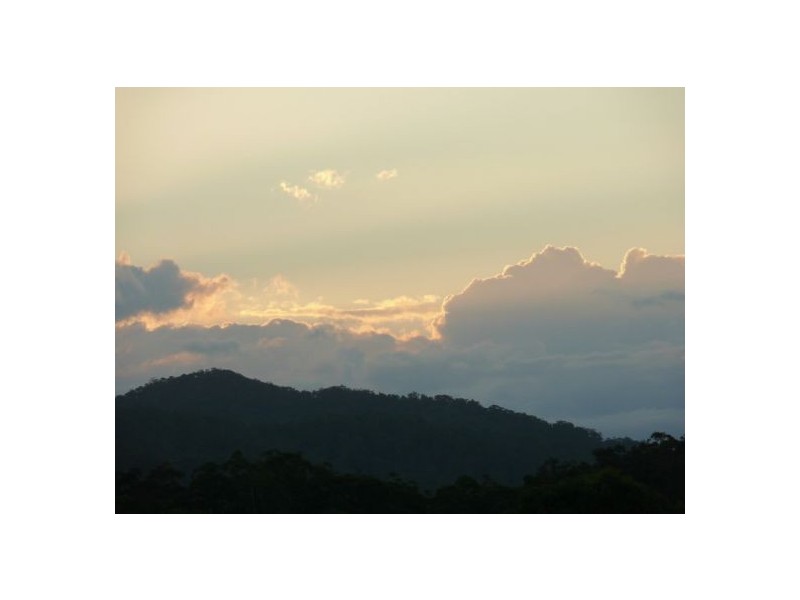 121 Scotchman Rd, Bellingen NSW 2454