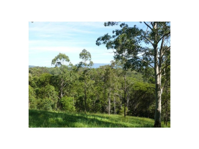 121 Scotchman Rd, Bellingen NSW 2454