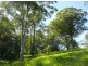121 Scotchman Rd, Bellingen NSW 2454