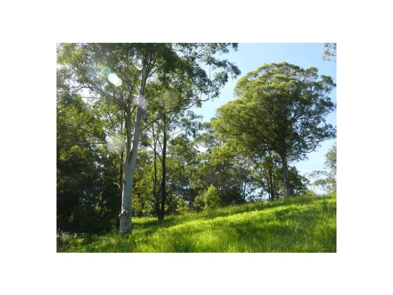 121 Scotchman Rd, Bellingen NSW 2454