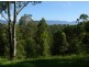 121 Scotchman Rd, Bellingen NSW 2454
