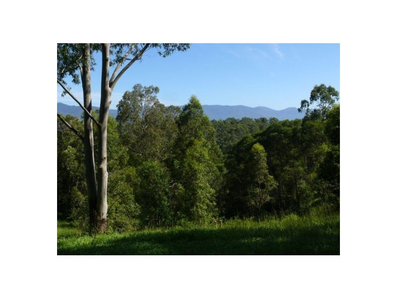 121 Scotchman Rd, Bellingen NSW 2454