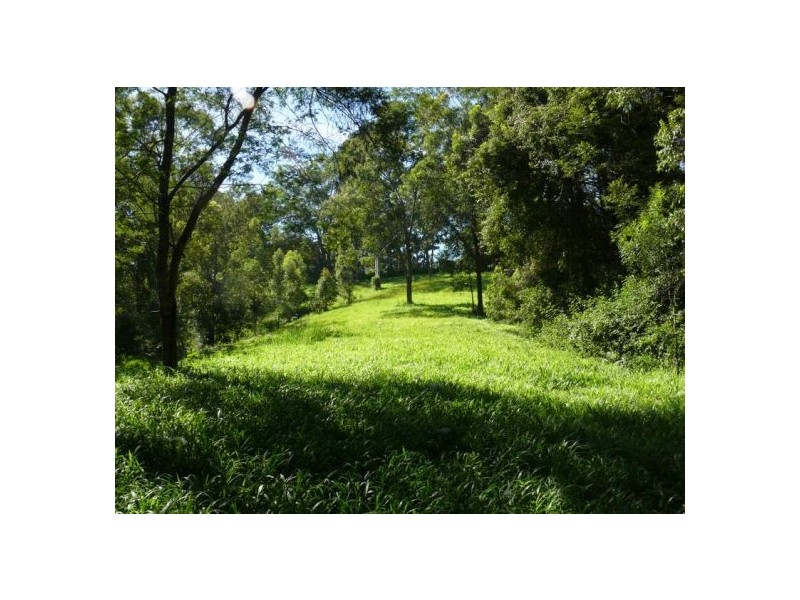 121 Scotchman Rd, Bellingen NSW 2454