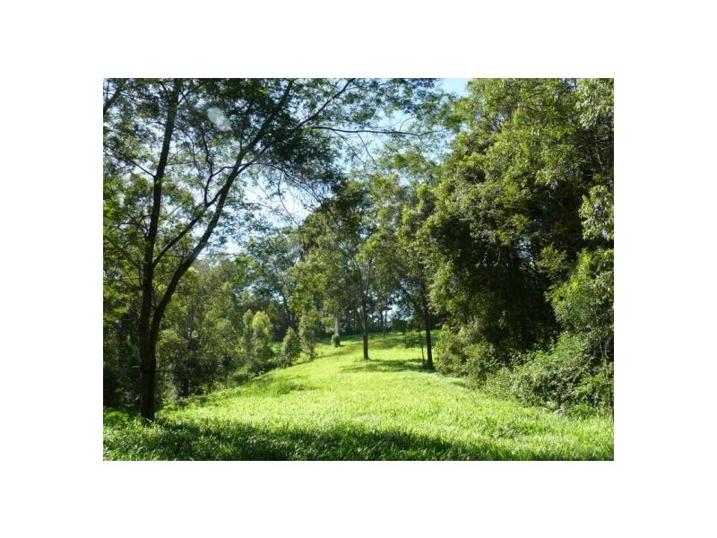 121 Scotchman Rd, Bellingen NSW 2454