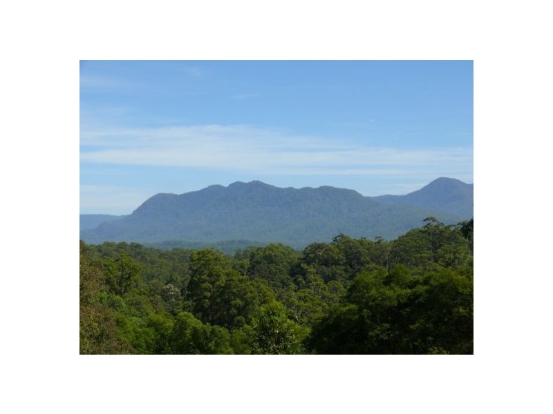 121 Scotchman Rd, Bellingen NSW 2454