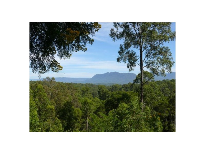 121 Scotchman Rd, Bellingen NSW 2454