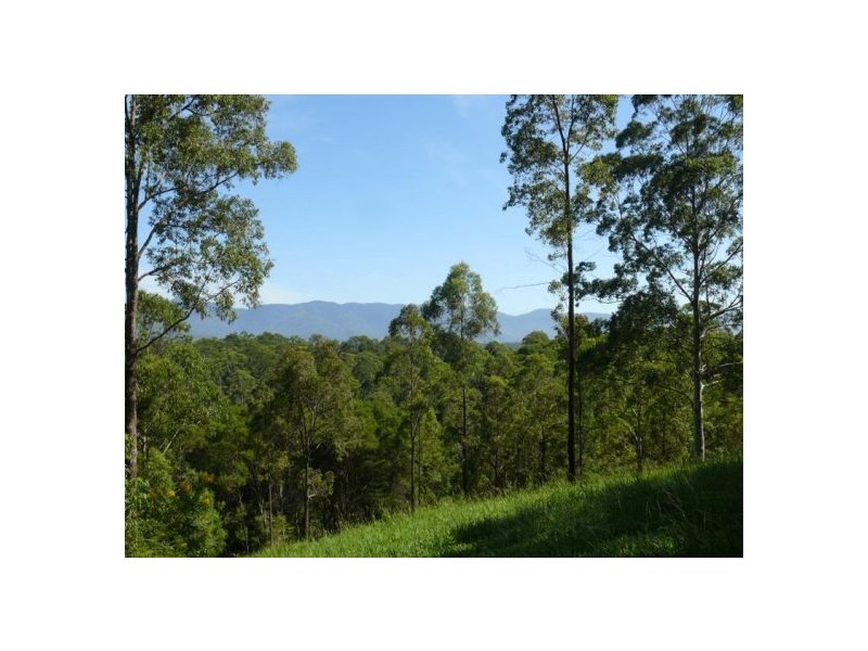 121 Scotchman Rd, Bellingen NSW 2454