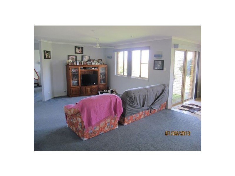 Dorrigo NSW 2453