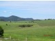 Dorrigo NSW 2453