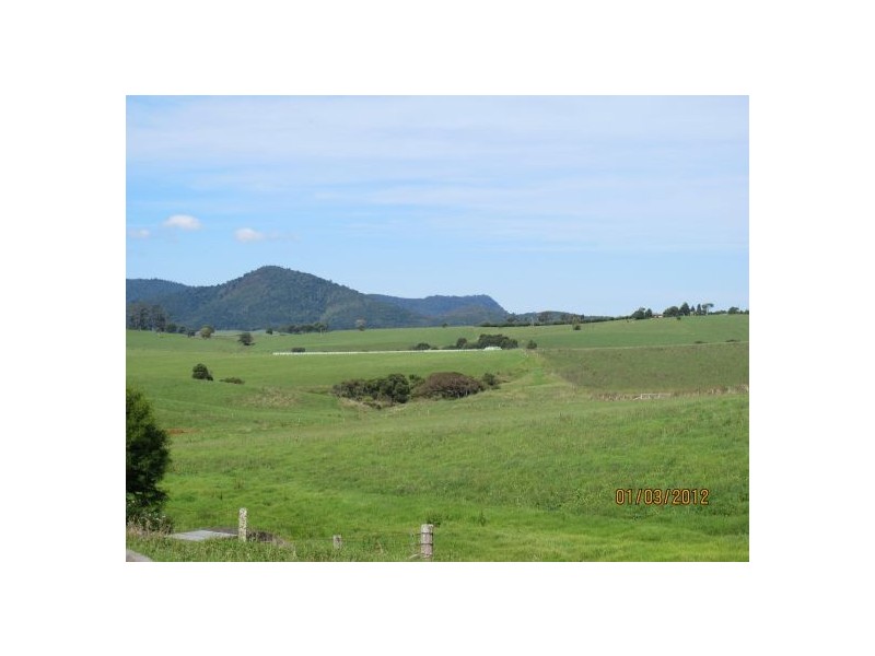 Dorrigo NSW 2453