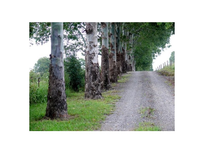 11 John Glyde Road, Bellingen NSW 2454