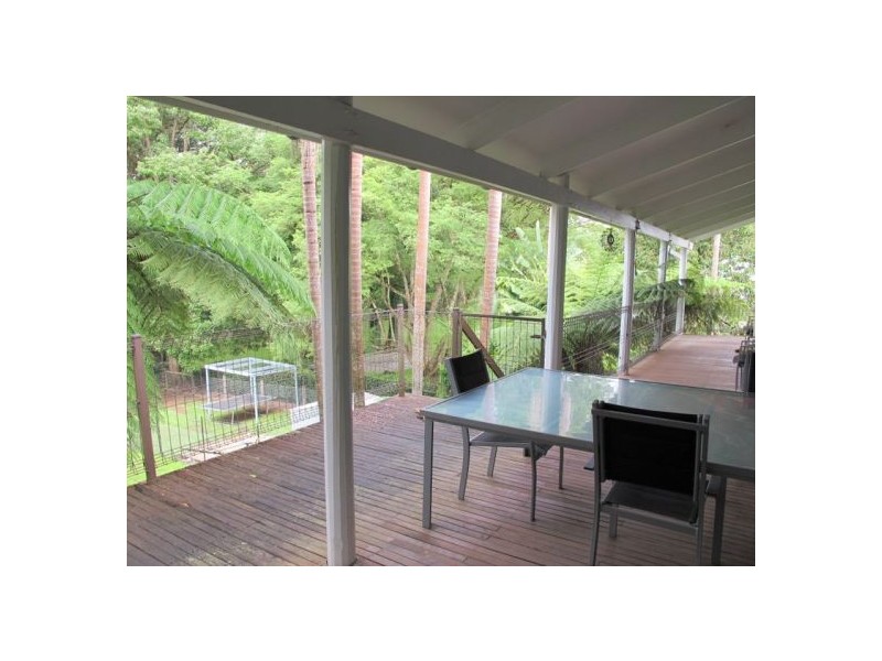1117 Waterfall Way, Bellingen NSW 2454