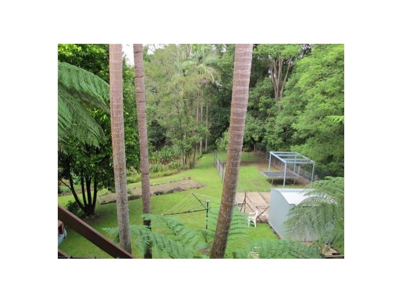1117 Waterfall Way, Bellingen NSW 2454