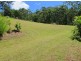 Lot 14 Burkes Lane, Valla NSW 2448